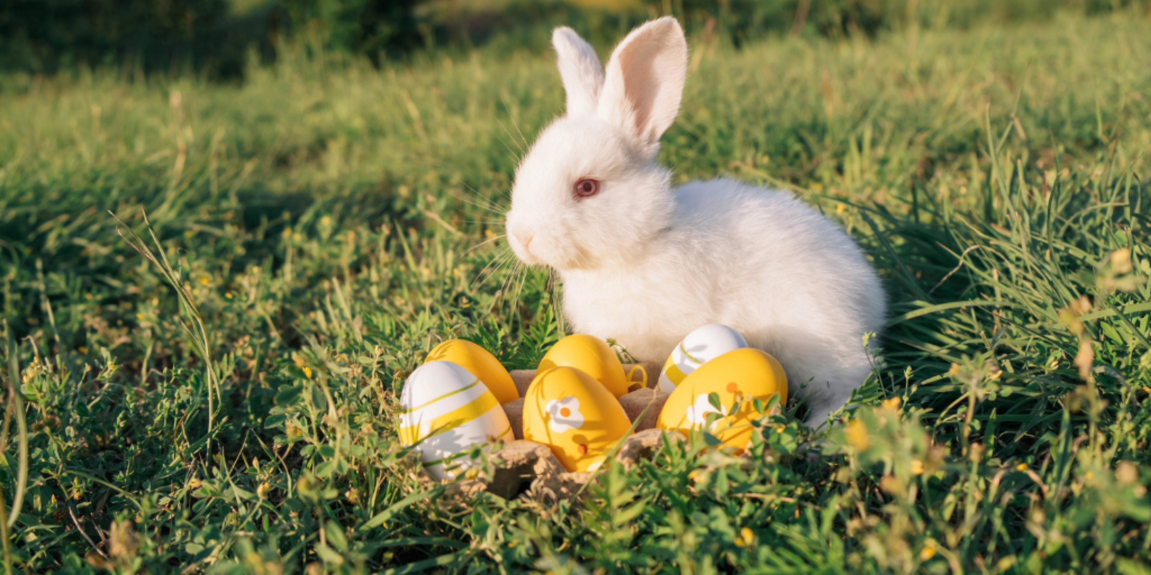 Featured image for “5 Easter Celebrations Around the Globe: Embracing Diversity and Tradition”